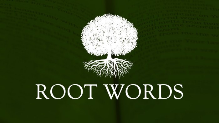 Words with the root word cise