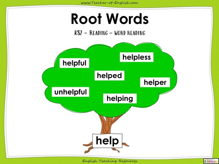 Root words english vocabulary