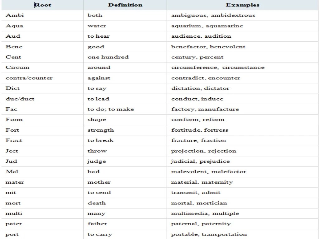 Words with the root word cise