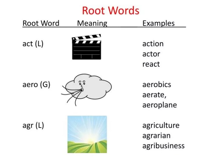 Words with the root word cise