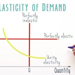 Tax incidence elasticity economics demand supply inelastic consumers microeconomics excise price paid than between burden graph elastic wedge revenue received